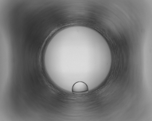 X0000113320300200909140952