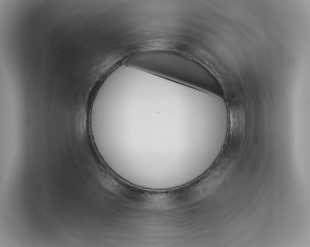 X0000113320301200909140952