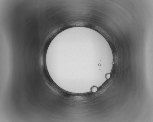 X0000113320302200909140952