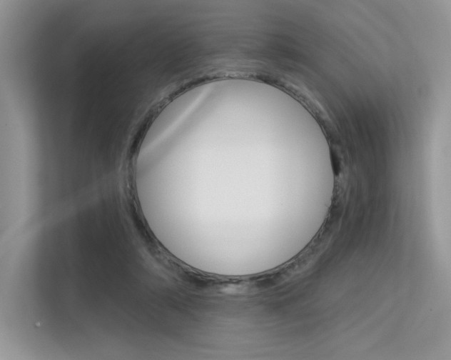 X0000113320306200909140952
