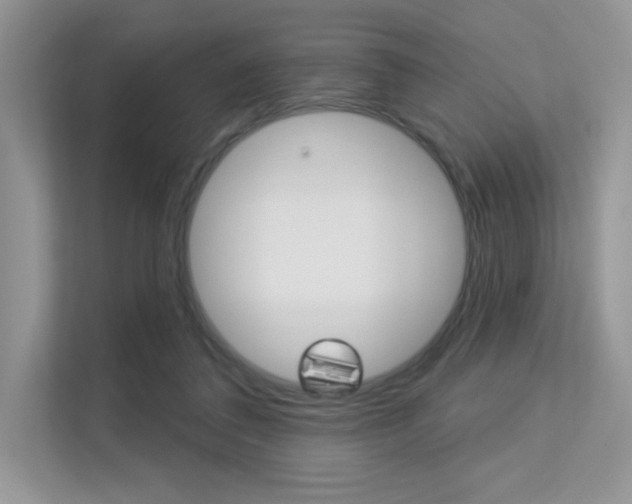 X0000113320308200909140952