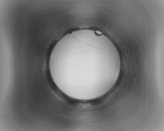 X0000113320311200909140952