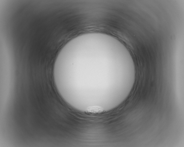 X0000113320317200909140952