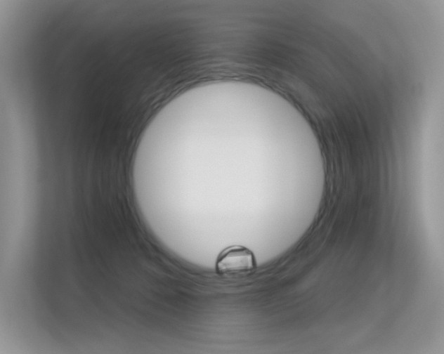 X0000113320320200909140952