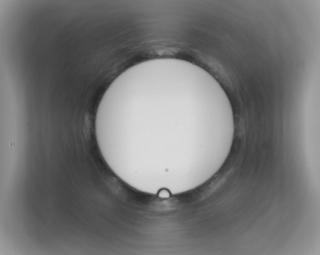 X0000113320321200909140952