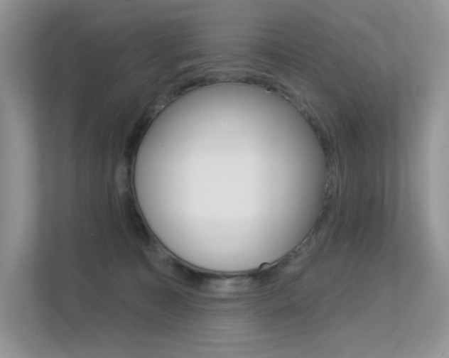 X0000113320323200909140952