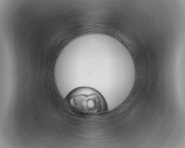 X0000113320325200909140952