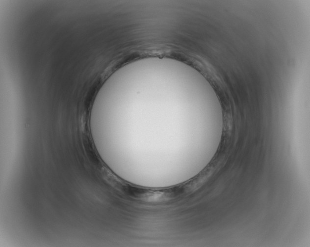 X0000113320326200909140952