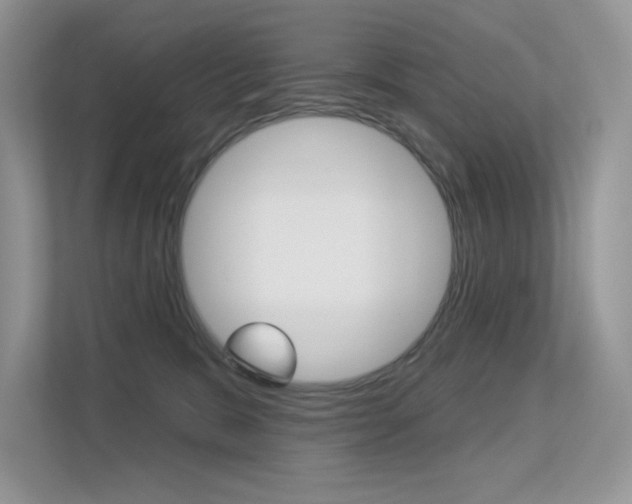 X0000113320327200909140952
