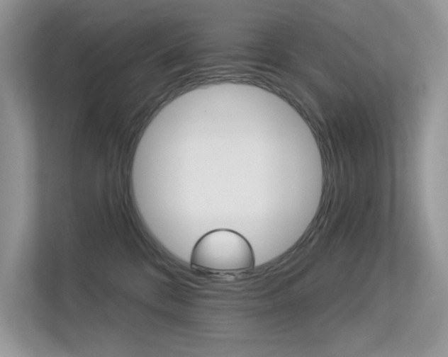 X0000113320328200909140952