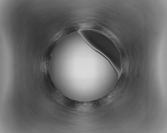 X0000113320329200909140952