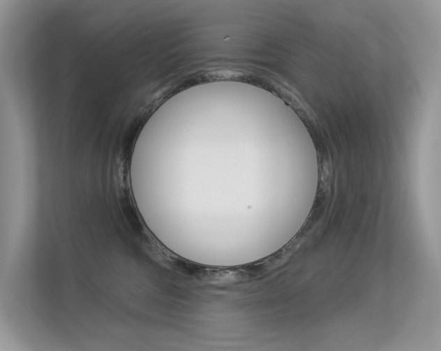 X0000113320330200909140952
