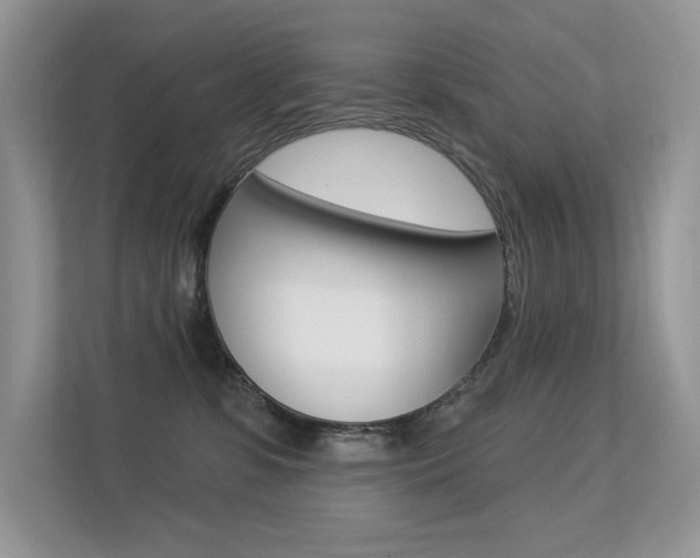X0000113320331200909140952