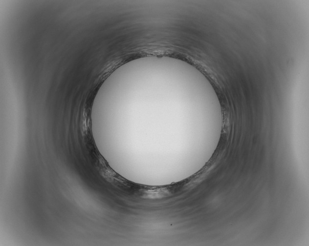 X0000113320334200909140952