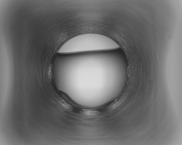 X0000113320336200909140952