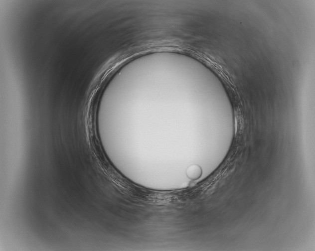 X0000113320339200909140951