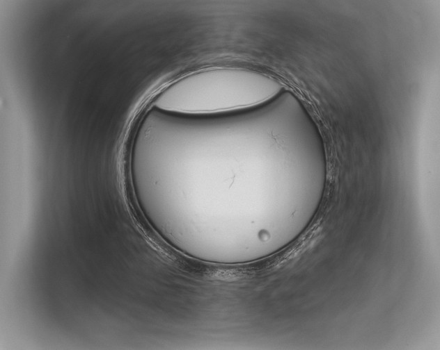X0000113320341200909140951