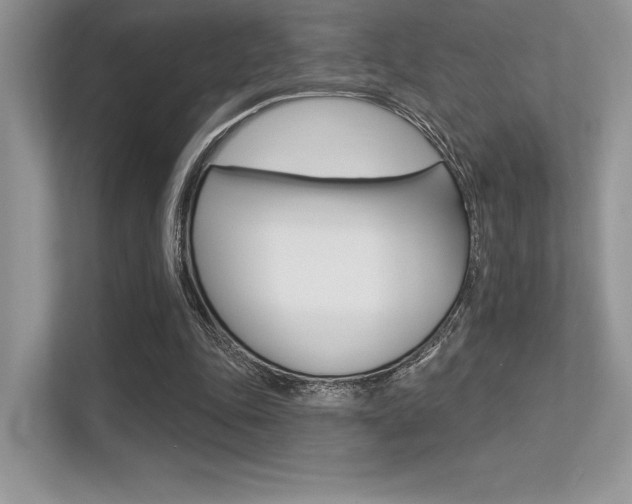 X0000113320343200909140951