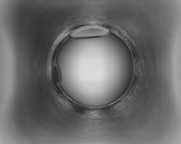 X0000113320344200909140951