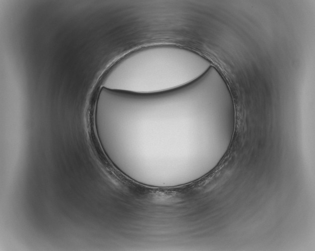 X0000113320346200909140951