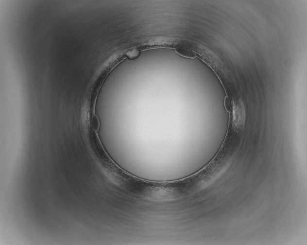 X0000113320348200909140951