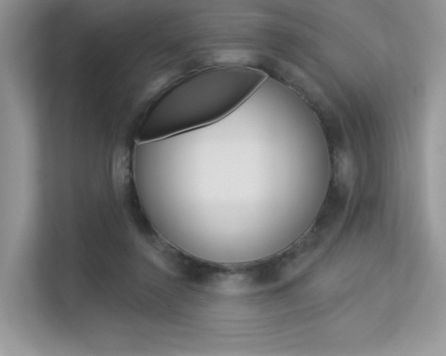 X0000113320356200909140951