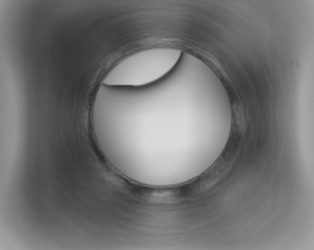 X0000113320357200909140951