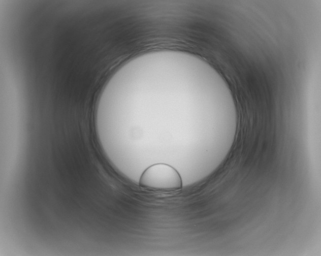 X0000113320360200909140951