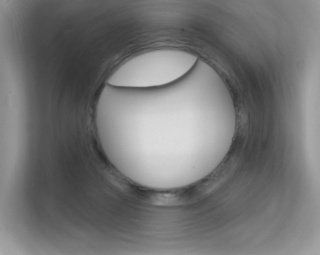 X0000113320361200909140951