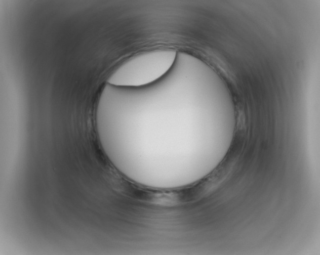 X0000113320363200909140951