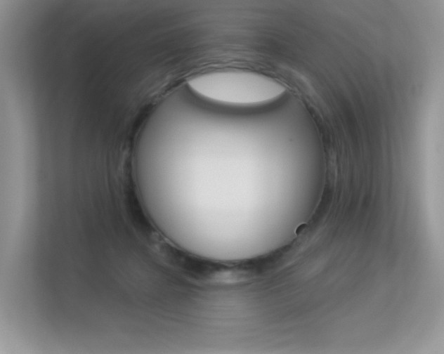 X0000113320364200909140951