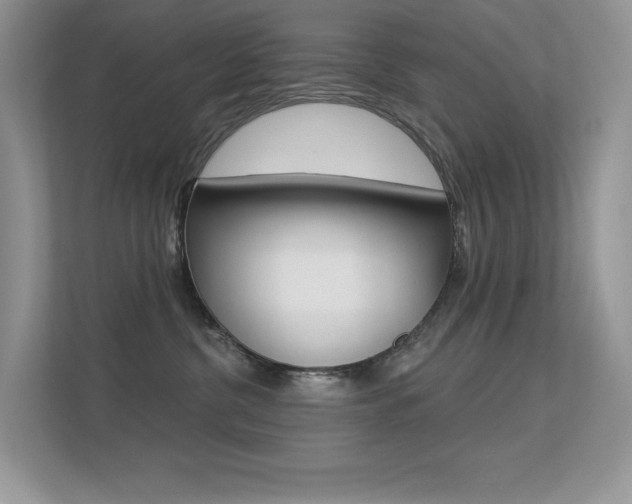 X0000113320380200909140952