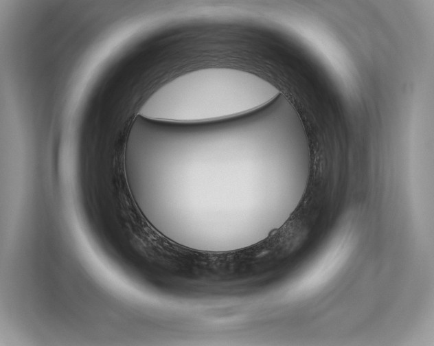 X0000113320383200909140952