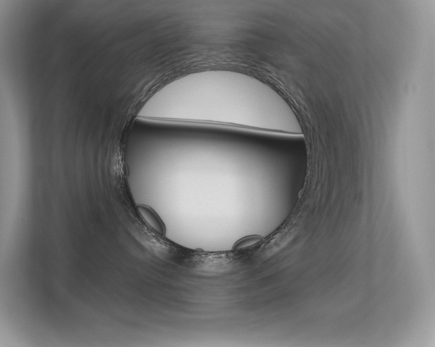 X0000113320384200909140952