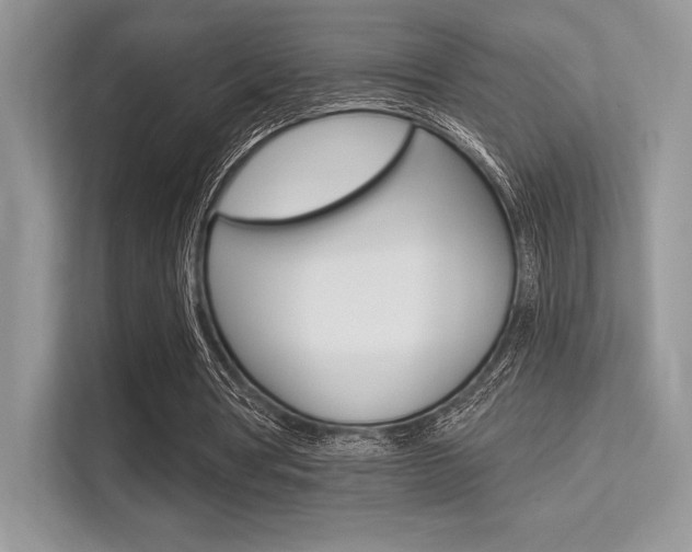 X0000113320386200909140951