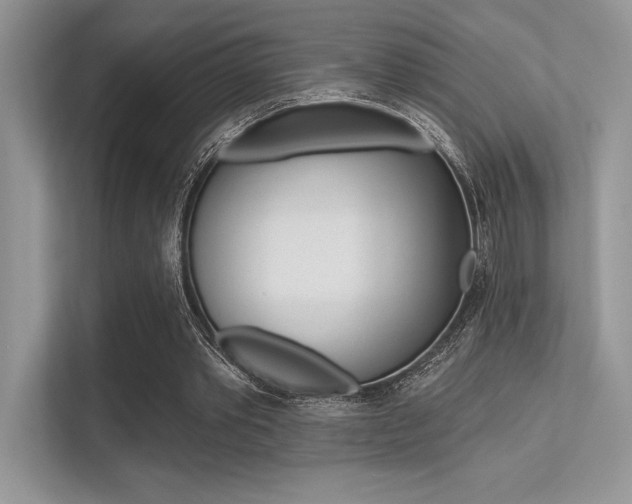 X0000113320389200909140951