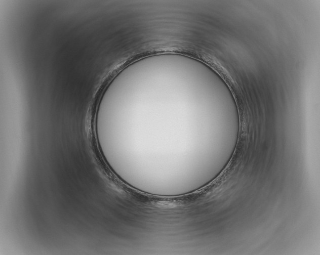 X0000113320394200909140951