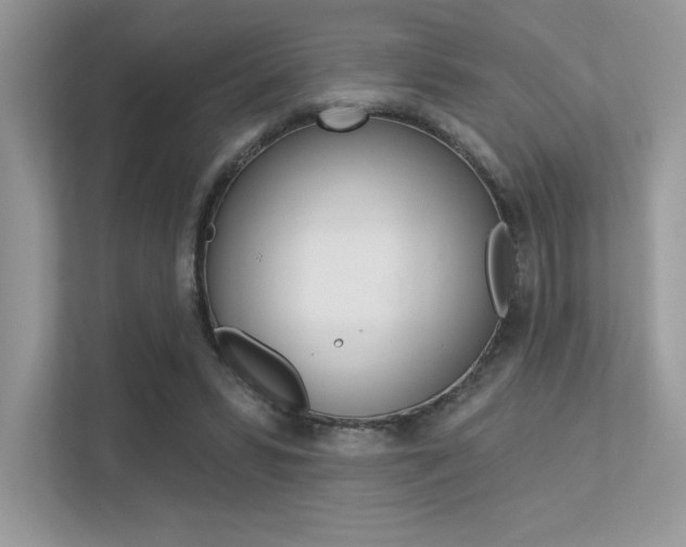X0000113320399200909140951