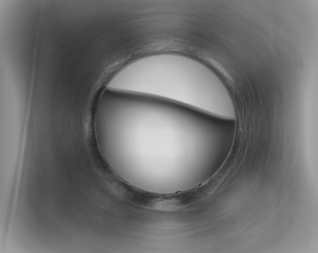 X0000113320403200909140951