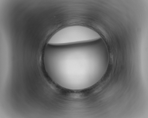 X0000113320404200909140951