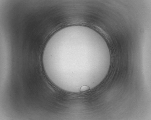 X0000113320405200909140951