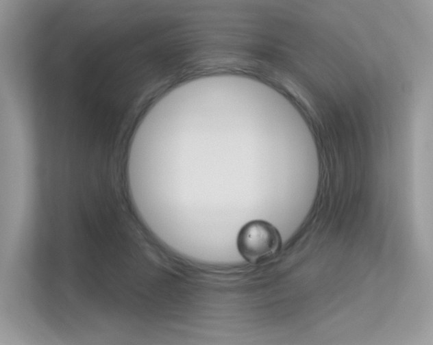 X0000113320407200909140951
