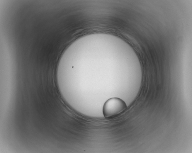 X0000113320409200909140951