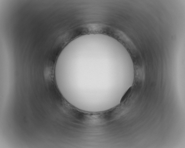 X0000113320419200909140951
