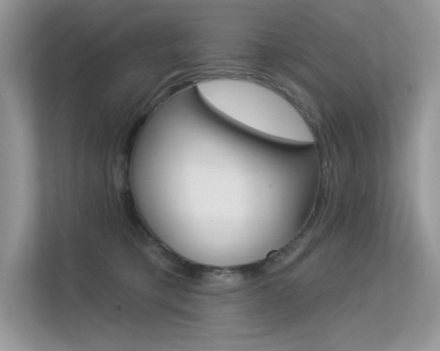 X0000113320421200909140951