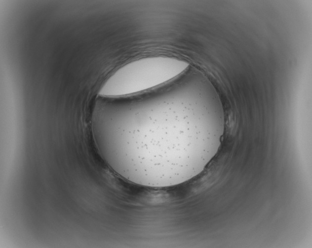 X0000113320424200909140951