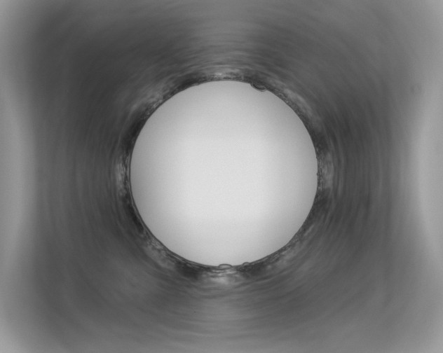 X0000113320427200909140951