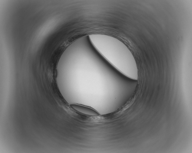 X0000113320429200909140950