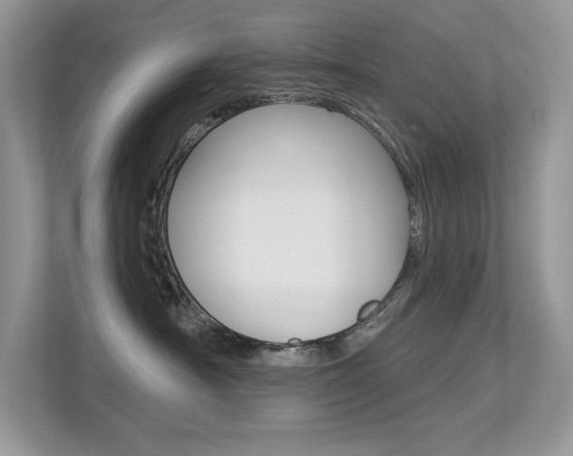 X0000113320430200909140950