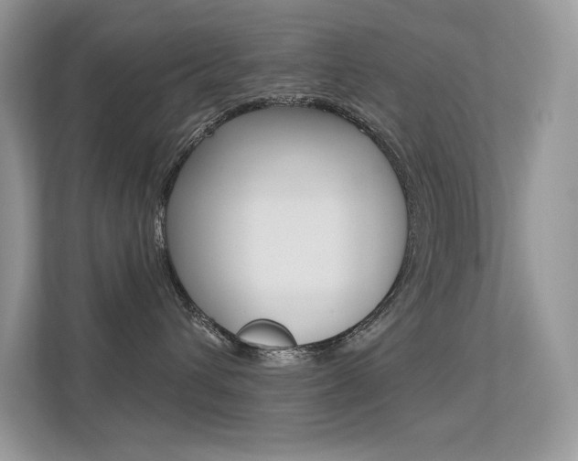 X0000113320432200909140950